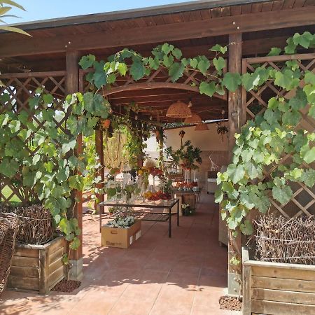 Alma Migrante Bed&Wine Hotel Telese Terme Bagian luar foto