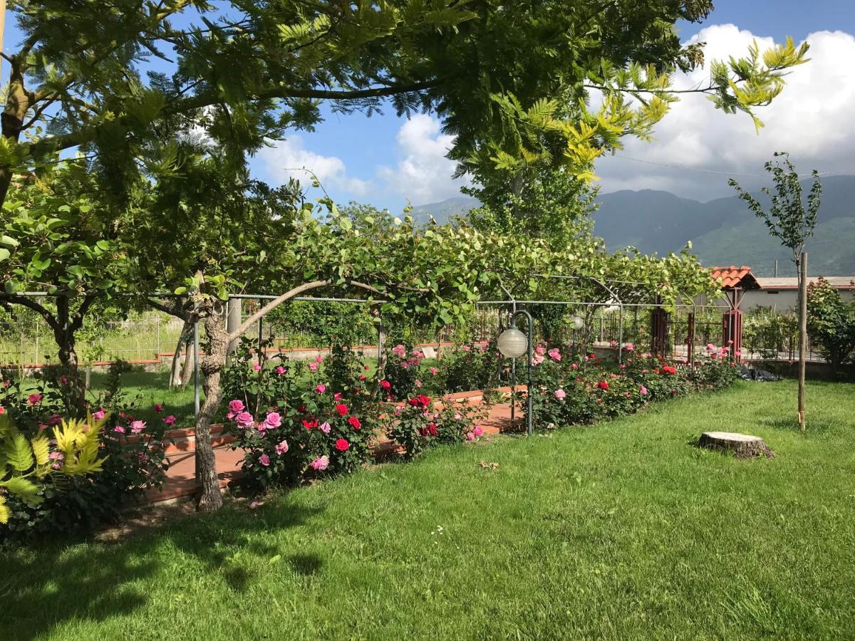 Alma Migrante Bed&Wine Hotel Telese Terme Bagian luar foto
